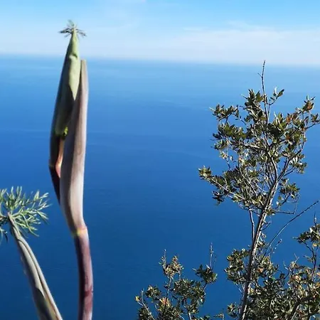 Apartman Mare E Monti Two *